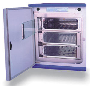 ���ݴ���